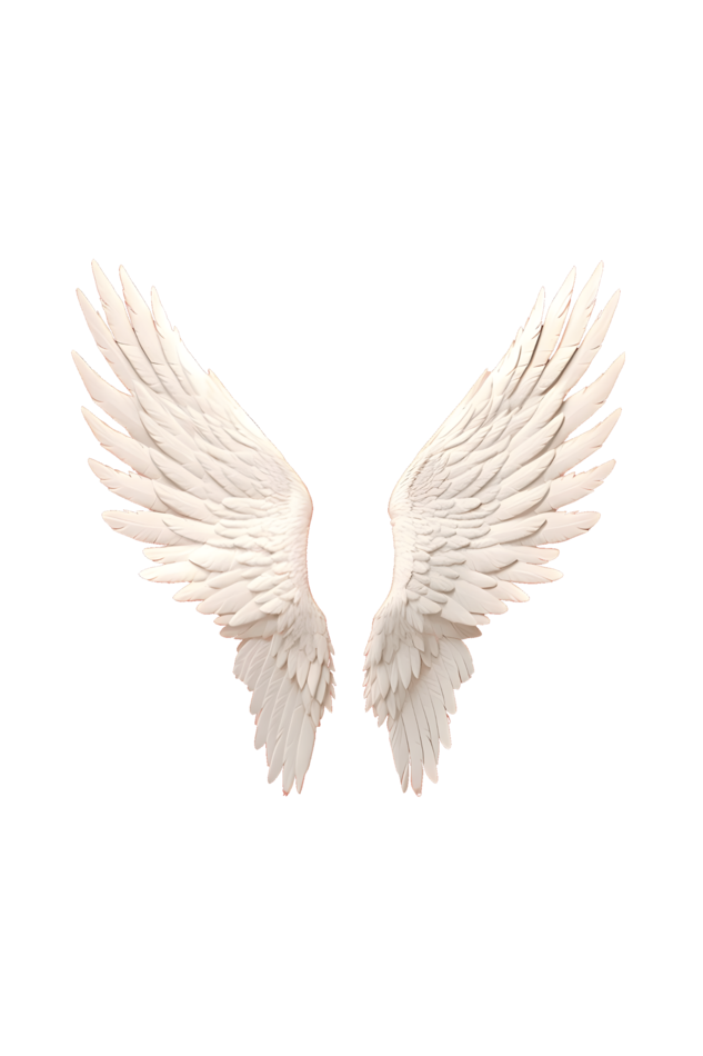 Angel wings