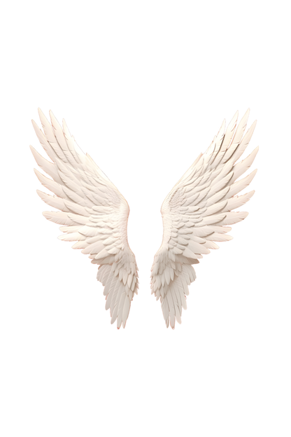 Angel wings